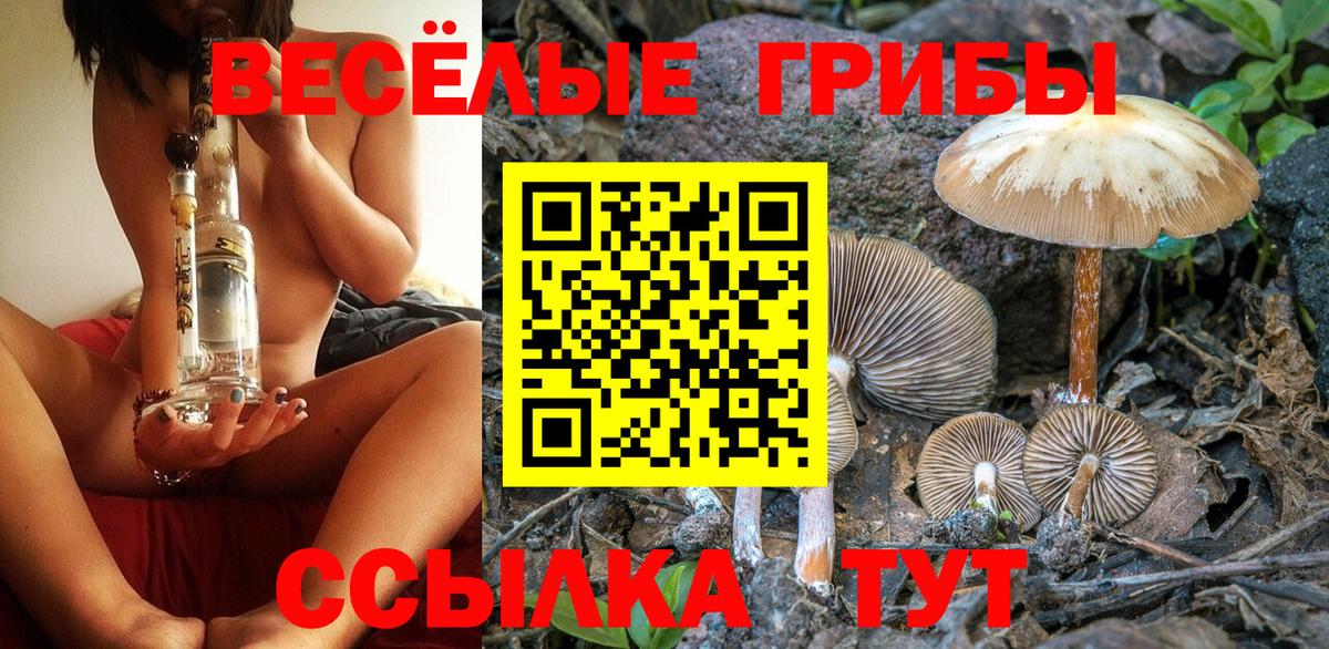 Галлюциногенные грибы Psilocybe Сергиев Посад