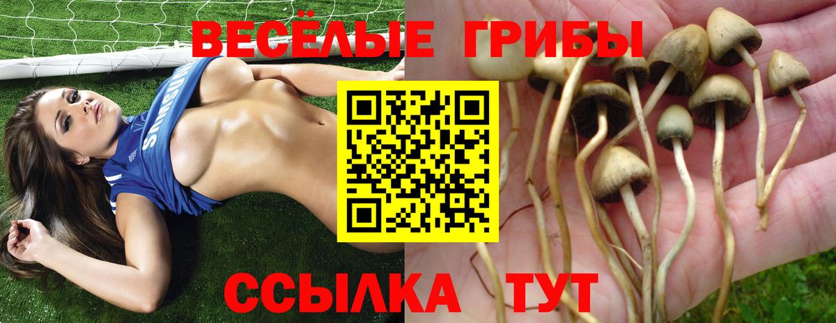 Псилоцибиновые грибы GOLDEN TEACHER  Вход с VPN  Сергиев Посад 